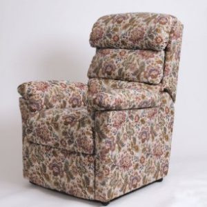 Dalerise Riser Recliner Chair